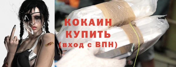 тгк Новодвинск