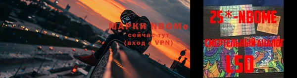 тгк Новодвинск