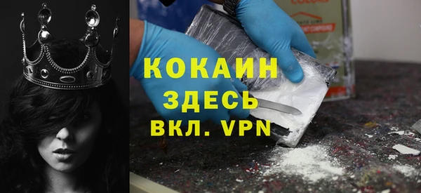 тгк Новодвинск