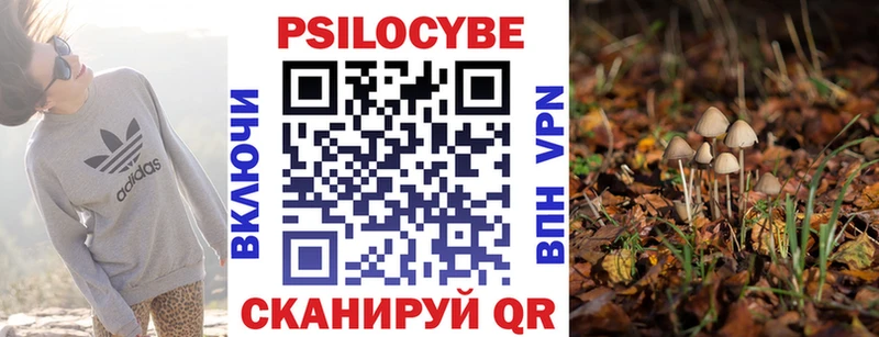 Псилоцибиновые грибы GOLDEN TEACHER Ветлуга